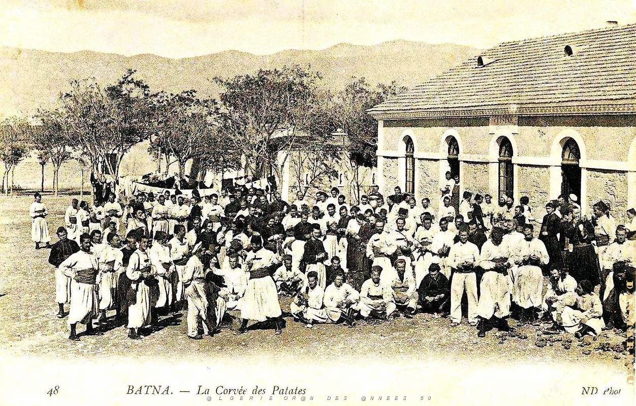 Batna - Corvee de patates.jpg